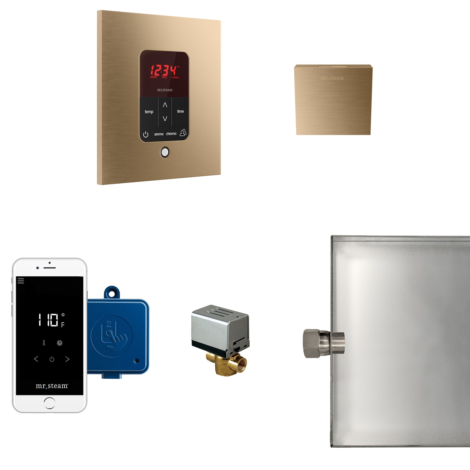 Butler Steam Shower Control Package with iTempoPlus Control and Aroma Designer SteamHead in Square