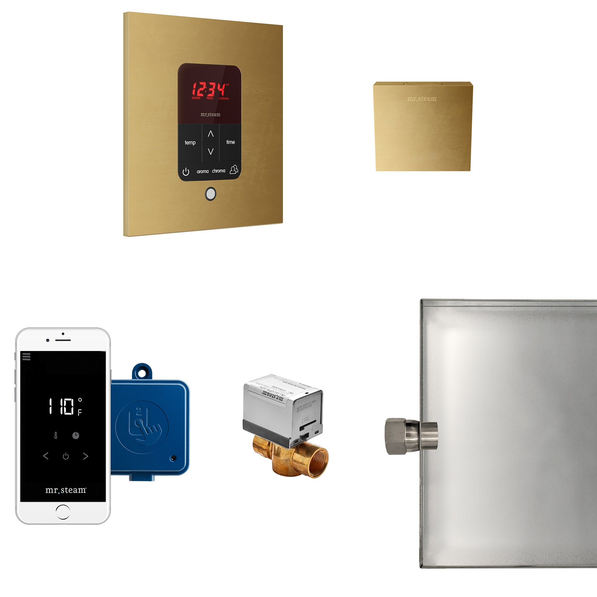 Butler Steam Shower Control Package with iTempoPlus Control and Aroma Designer SteamHead in Square