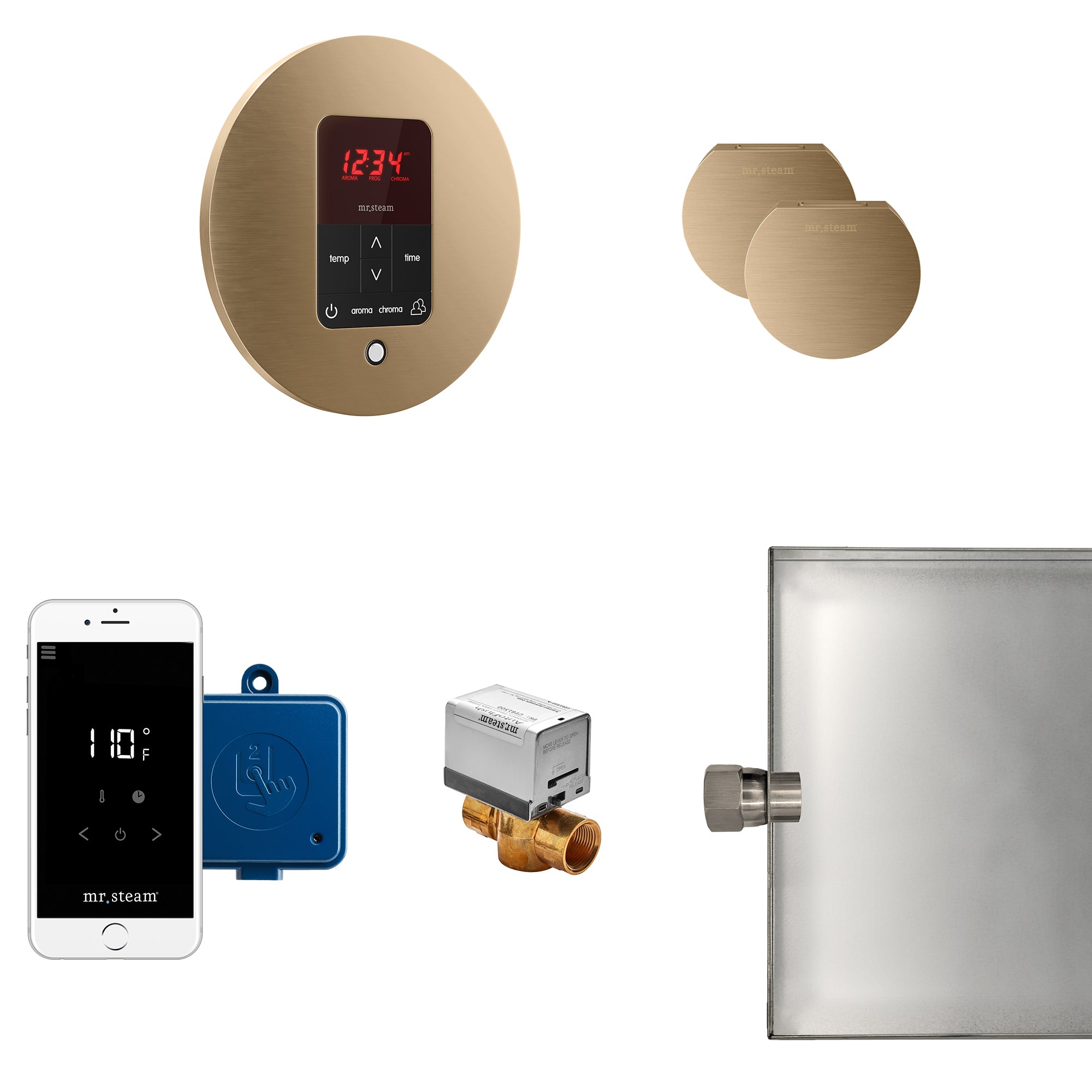Butler Max Steam Shower Control Package with iTempoPlus Control and Aroma Designer SteamHead in Round