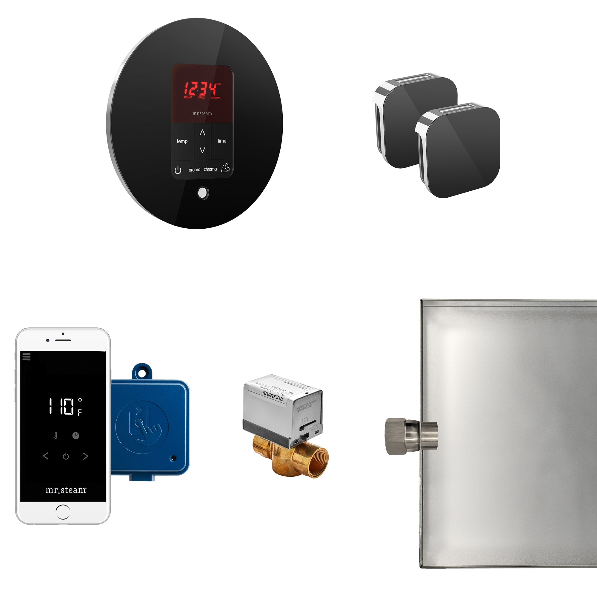 Butler Max Steam Shower Control Package with iTempoPlus Control and Aroma Designer SteamHead in Round