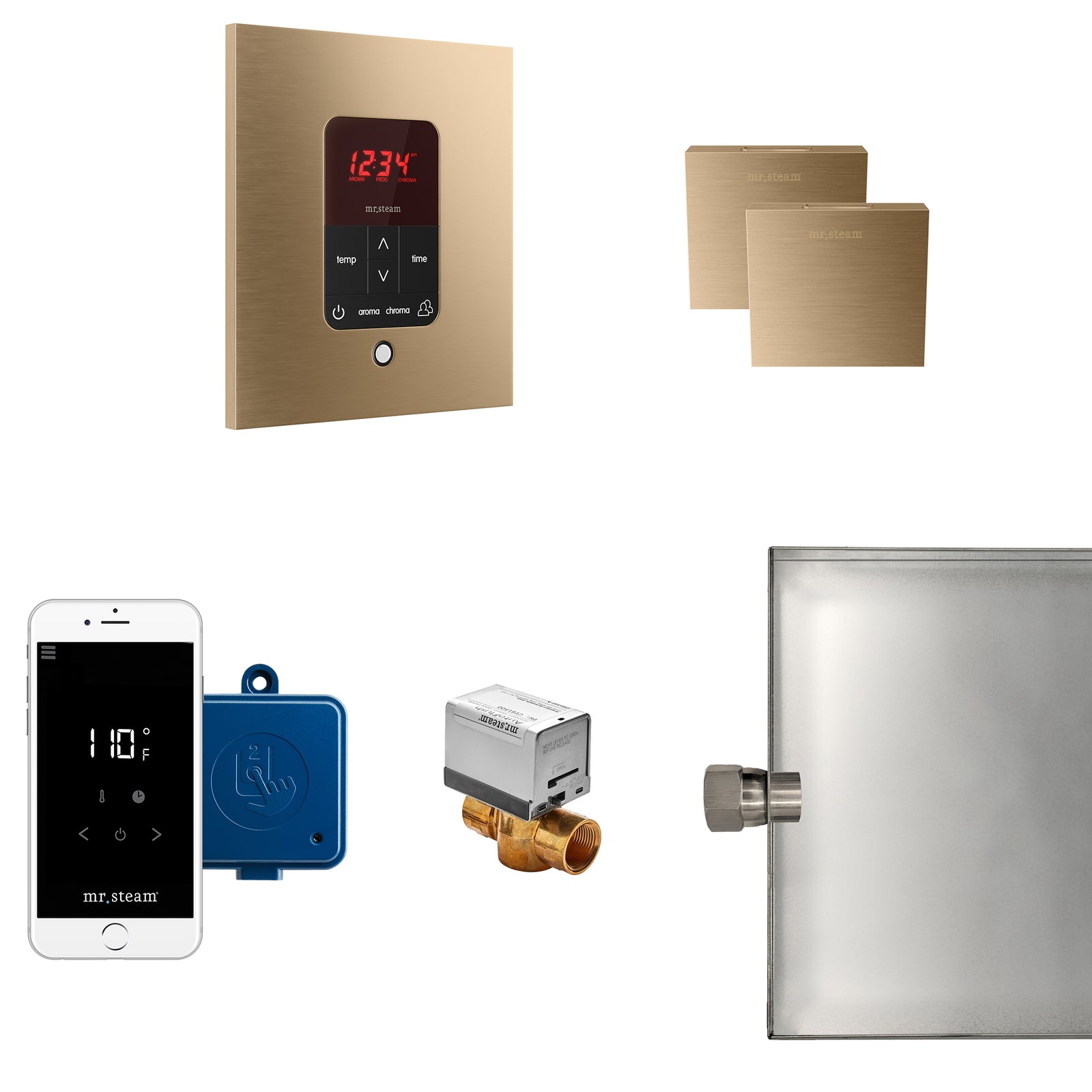 Butler Max Steam Shower Control Package with iTempoPlus Control and Aroma Designer SteamHead in Square