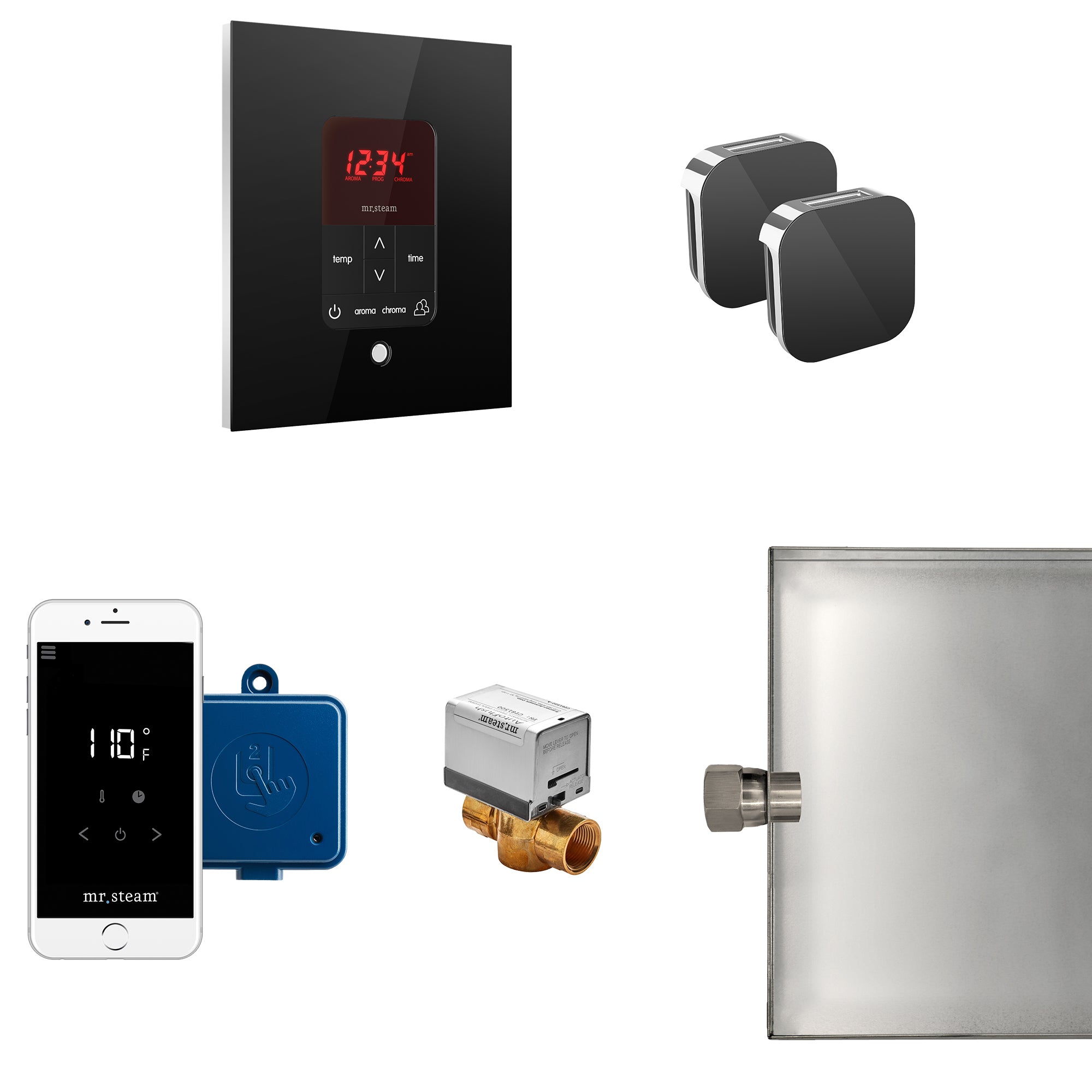 Butler Max Steam Shower Control Package with iTempoPlus Control and Aroma Designer SteamHead in Square