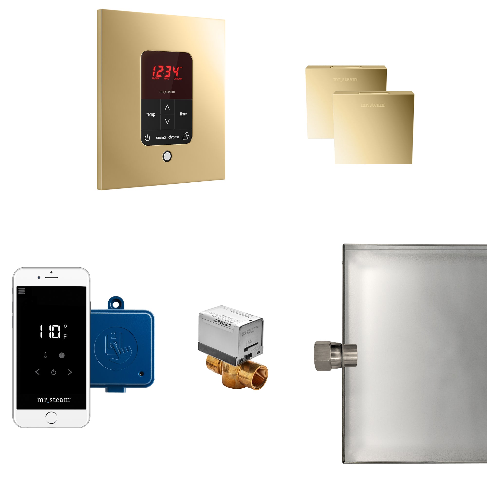 Butler Max Steam Shower Control Package with iTempoPlus Control and Aroma Designer SteamHead in Square