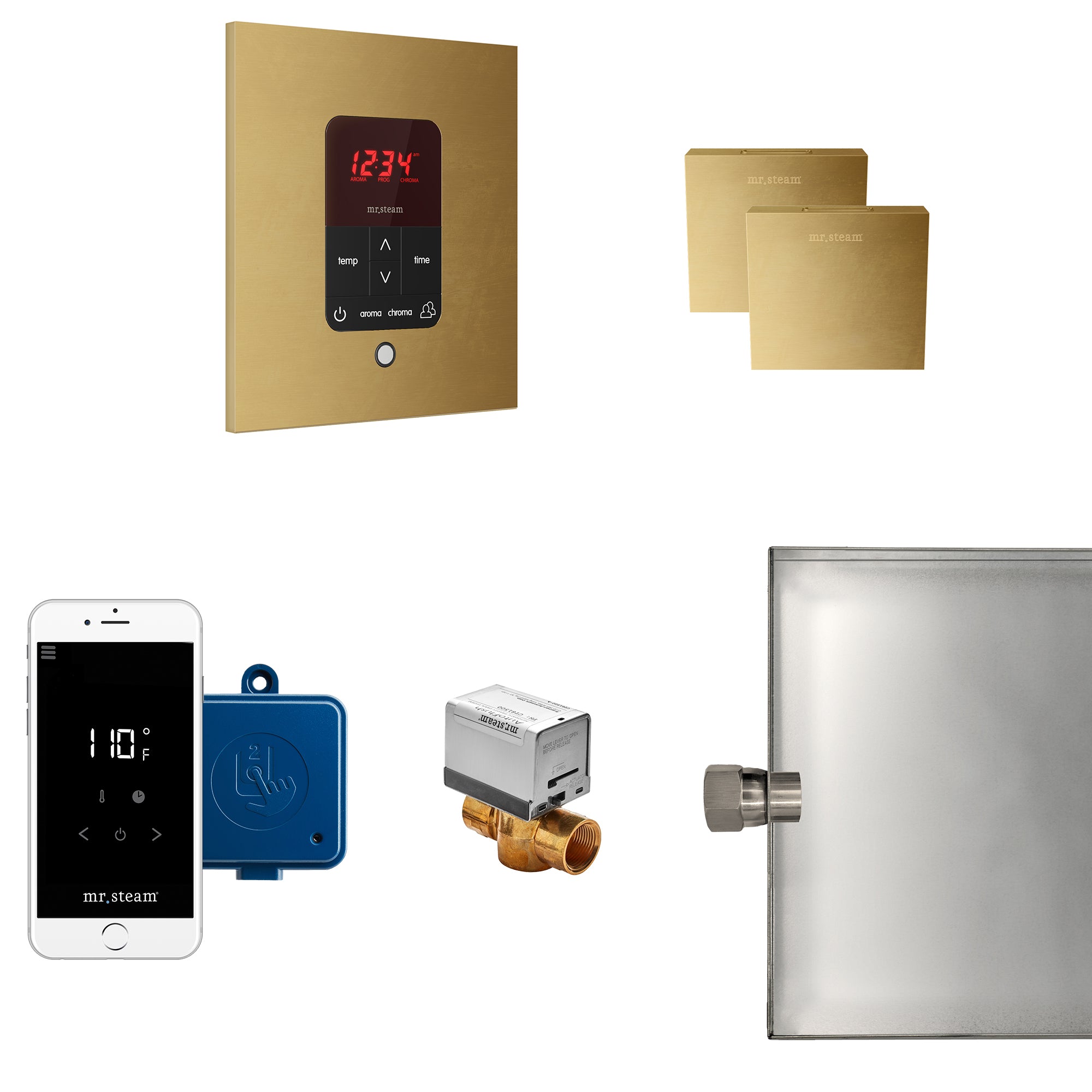 Butler Max Steam Shower Control Package with iTempoPlus Control and Aroma Designer SteamHead in Square