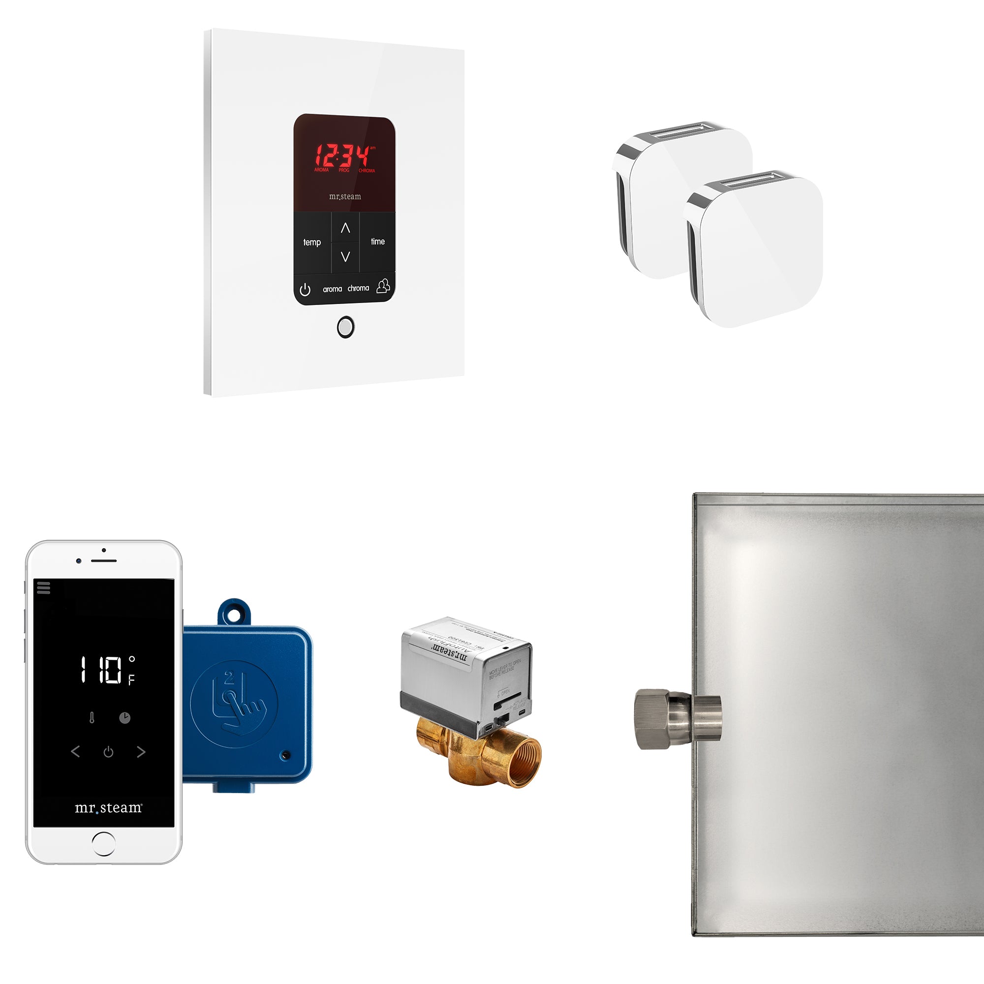 Butler Max Steam Shower Control Package with iTempoPlus Control and Aroma Designer SteamHead in Square