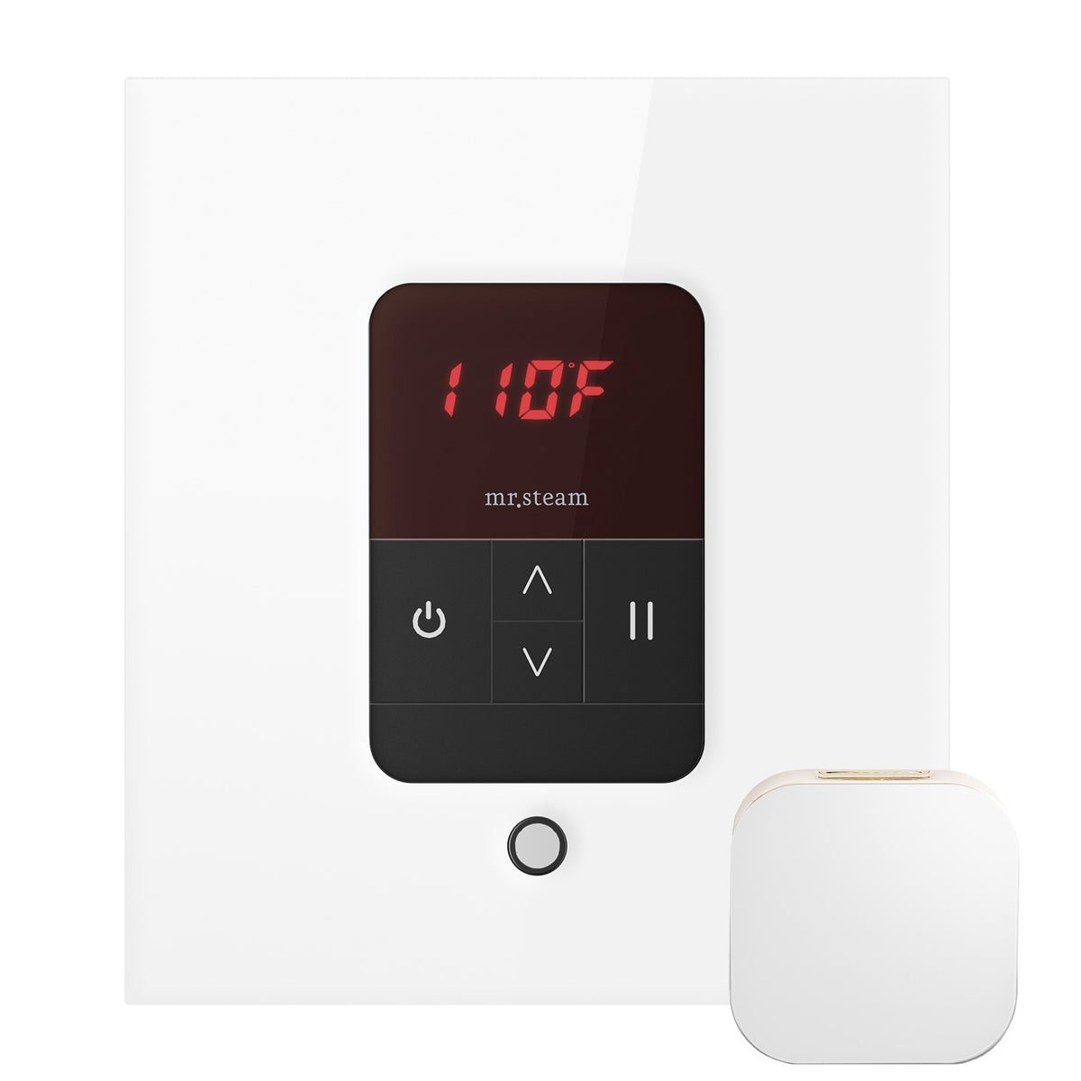 Basic Butler Steam Shower Control Package with iTempo Control and Aroma Designer SteamHead in Square