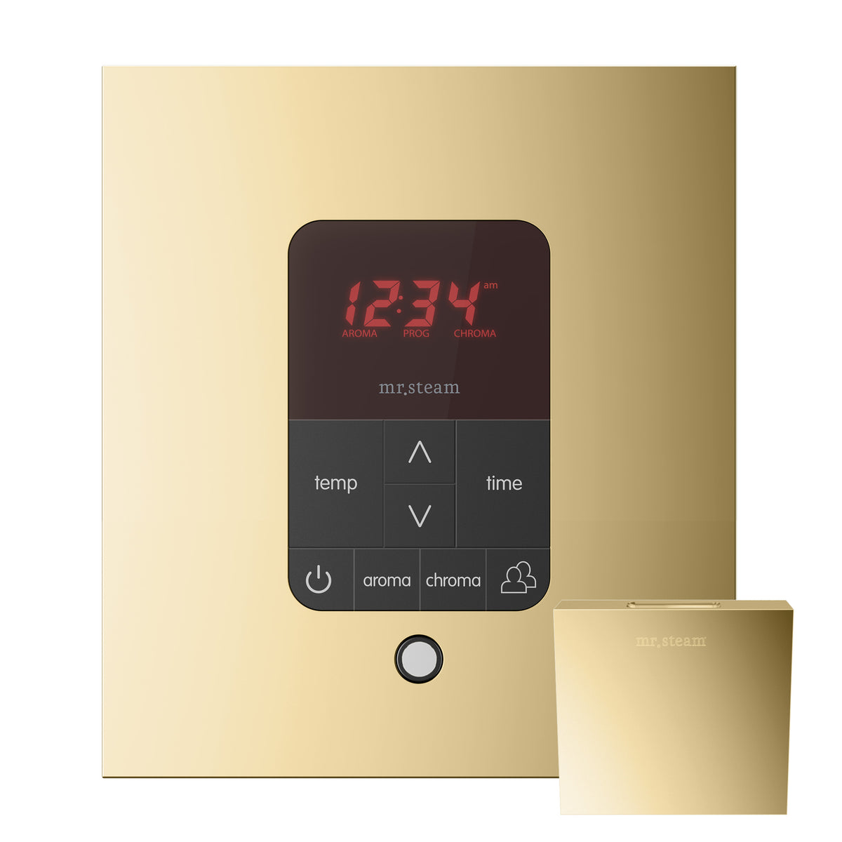 Butler Max Steam Shower Control Package with iTempoPlus Control and Aroma Designer SteamHead in Square