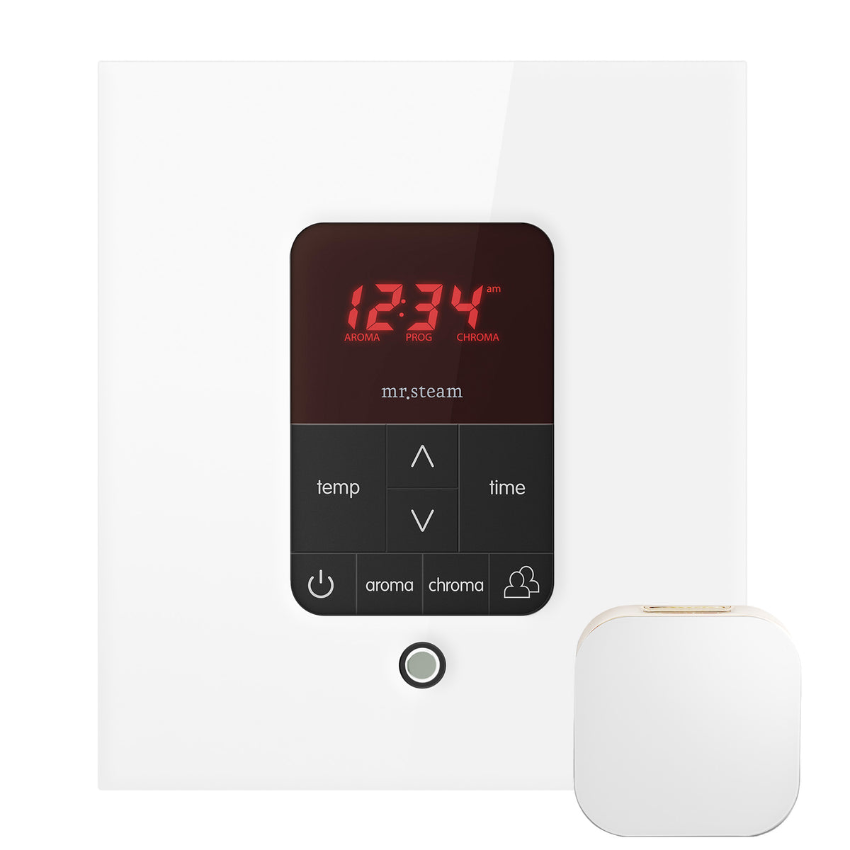 Butler Max Steam Shower Control Package with iTempoPlus Control and Aroma Designer SteamHead in Square