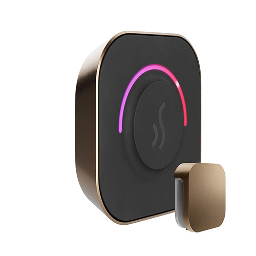 Mr.Steam TempoTouch Steam Shower Control w/ Aroma SteamHead