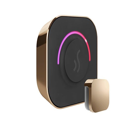 Mr.Steam TempoTouch Steam Shower Control w/ Aroma SteamHead