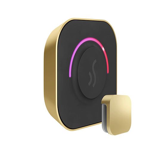 Mr.Steam TempoTouch Steam Shower Control w/ Aroma SteamHead