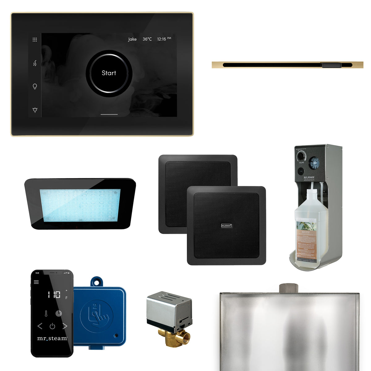 XDream Linear Programmable Steam Generator Control Kit with iSteamX Control and Linear Steamhead