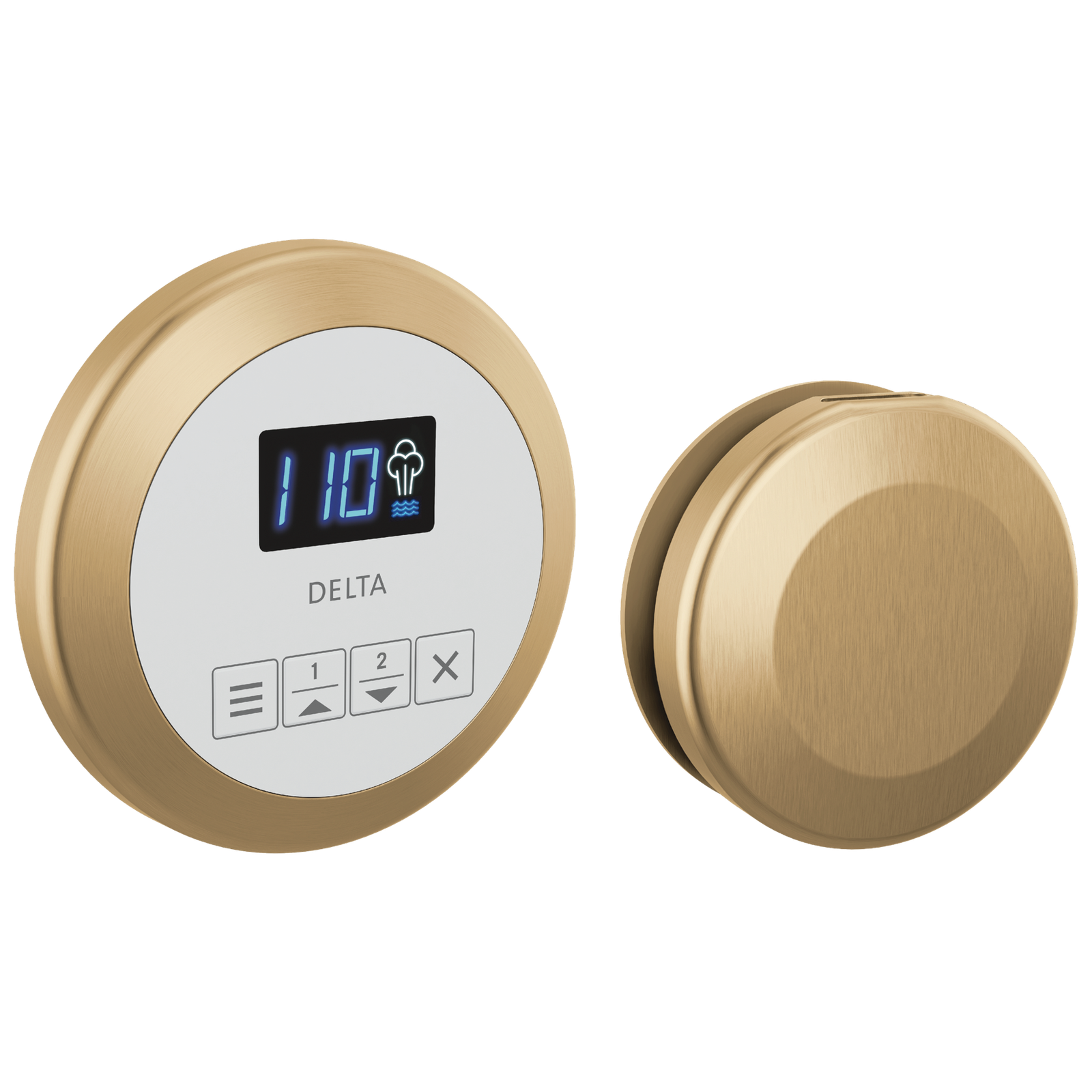 SteamScape™ Round Control and Round Steam Head