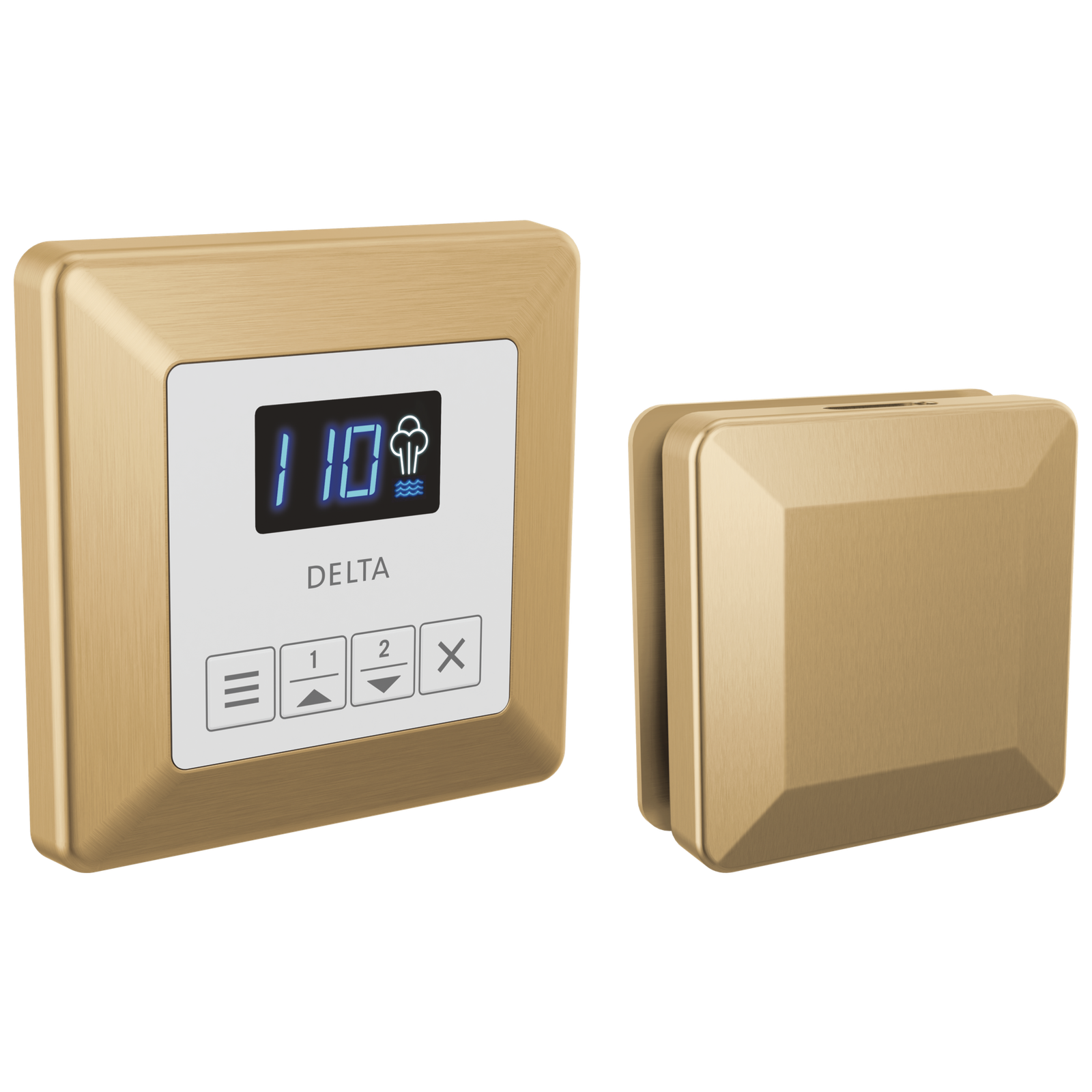 SteamScape™ Square Control and Square Steam Head