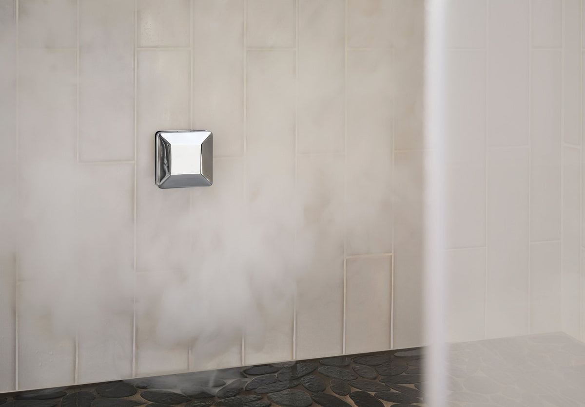 Delta SimpleSteam™ 6kW Kit