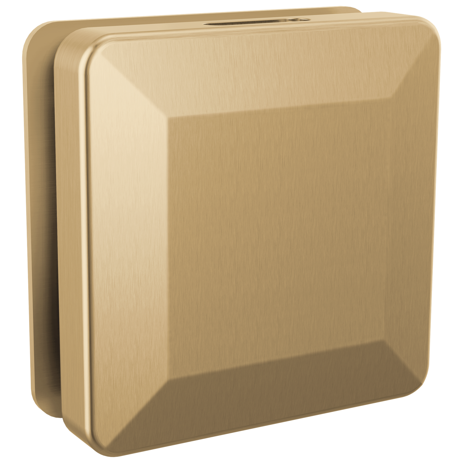 Delta SimpleSteam Square Steam Head