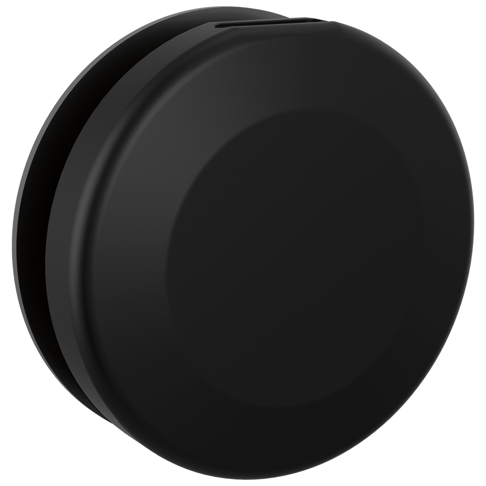 Delta SteamScape Classic Round Steam Head