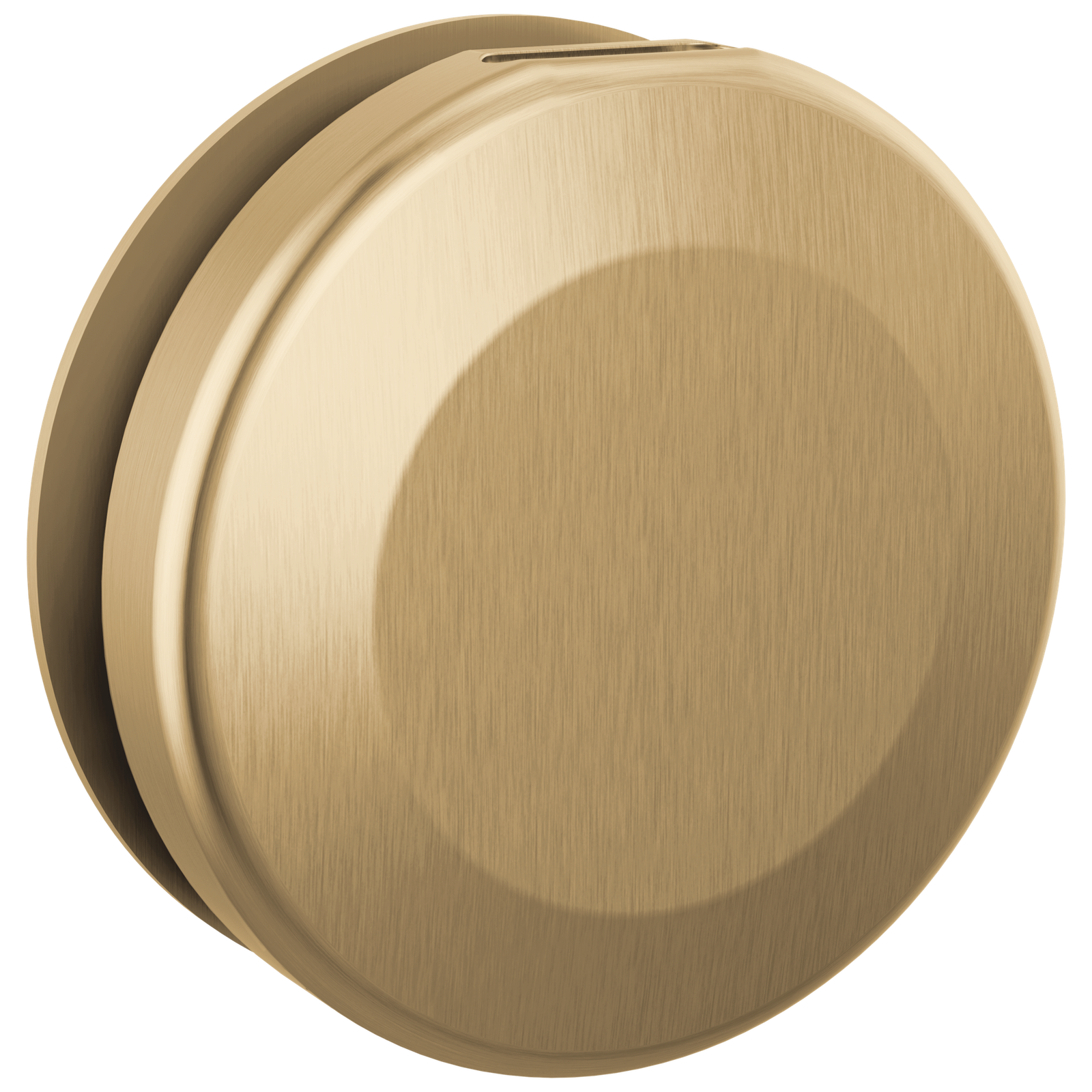 Delta SteamScape Classic Round Steam Head