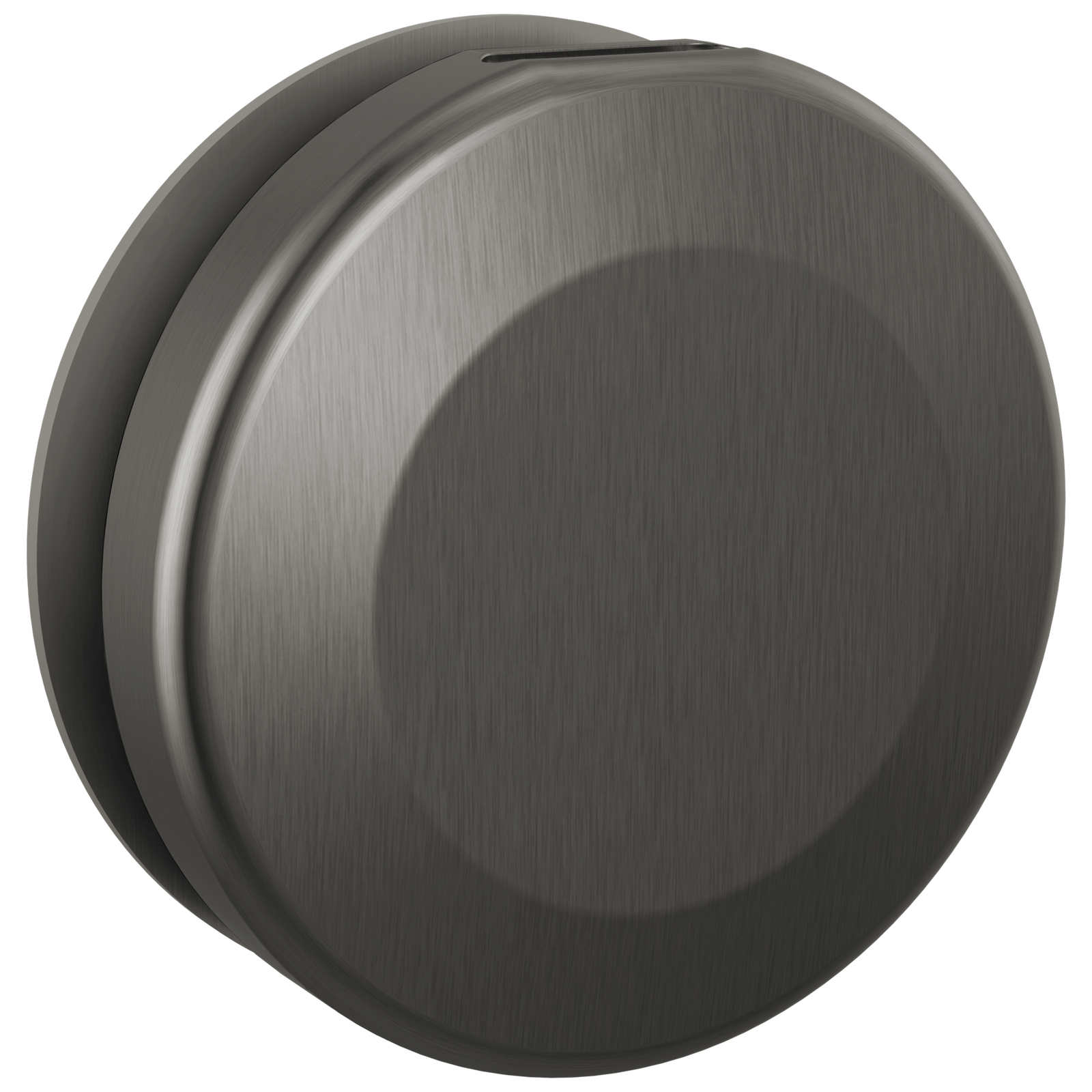 Delta SteamScape Classic Round Steam Head