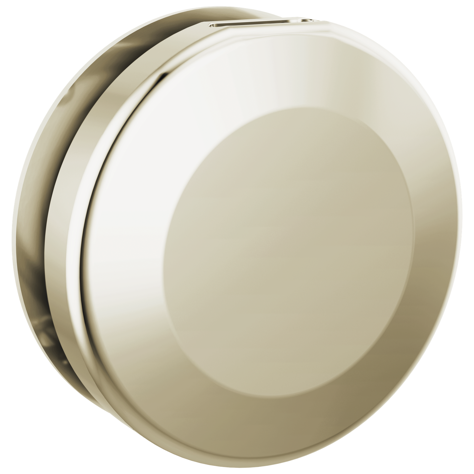 Delta SteamScape Classic Round Steam Head