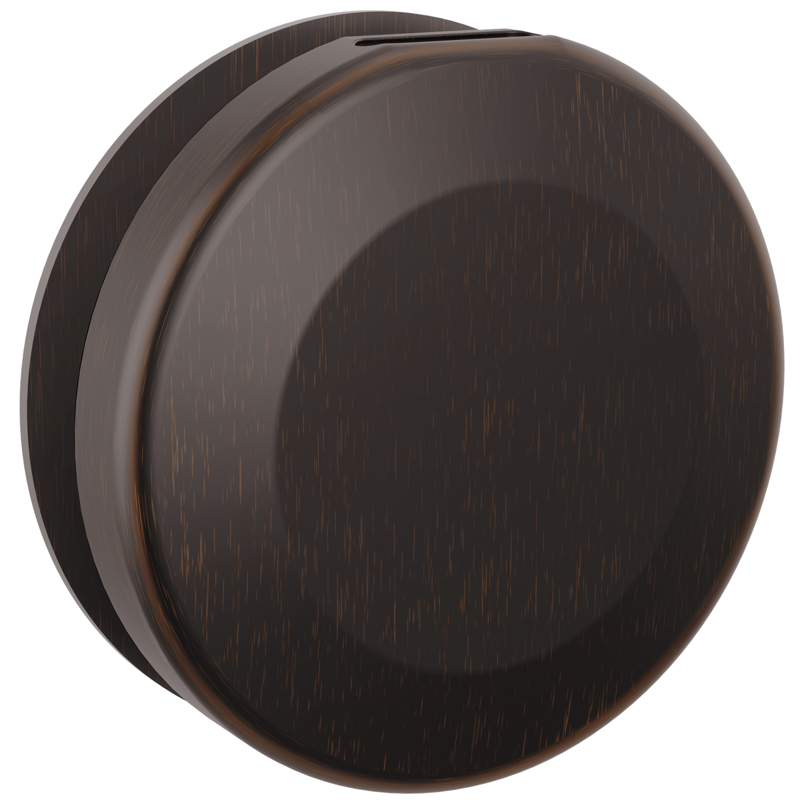 Delta SteamScape Classic Round Steam Head