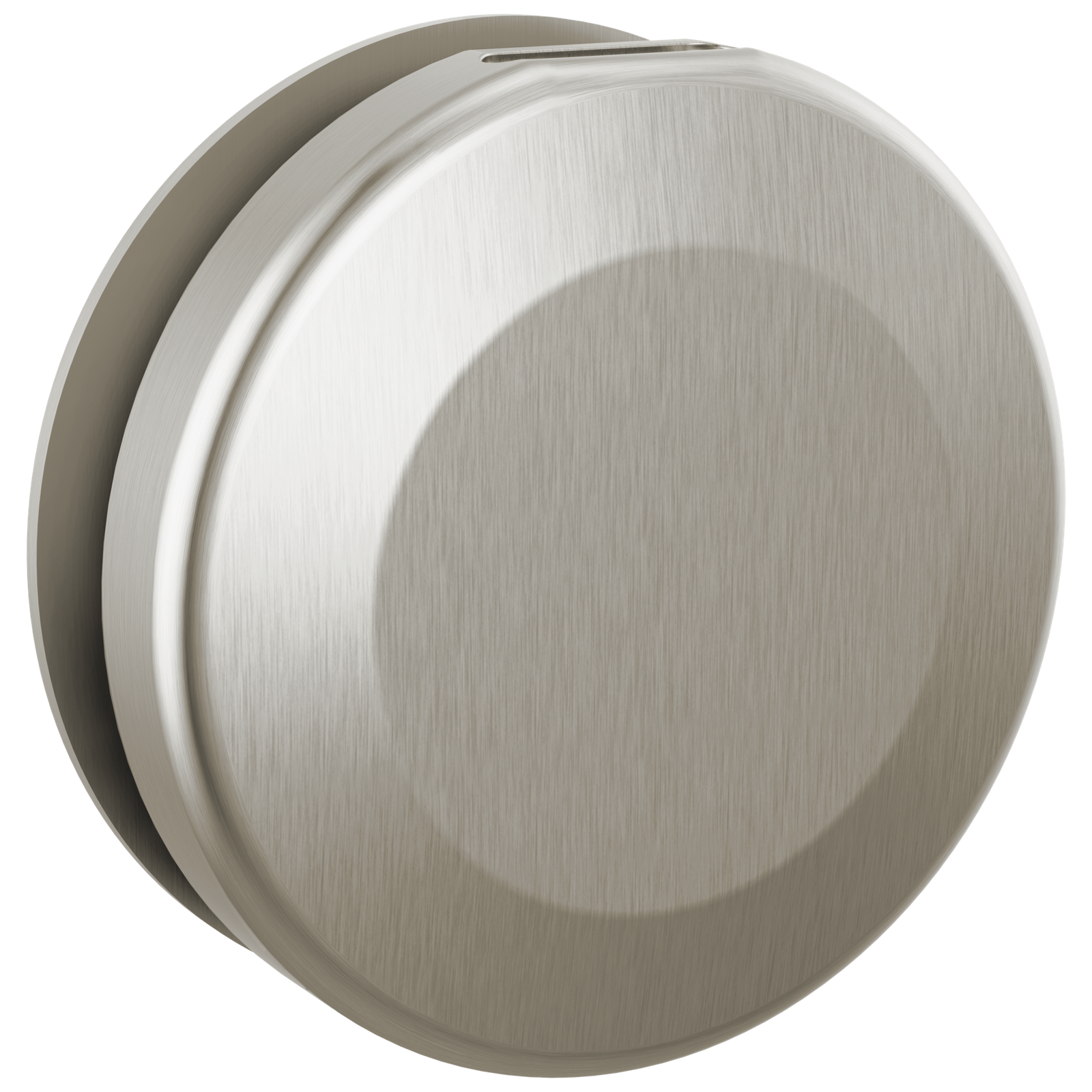 Delta SteamScape Classic Round Steam Head