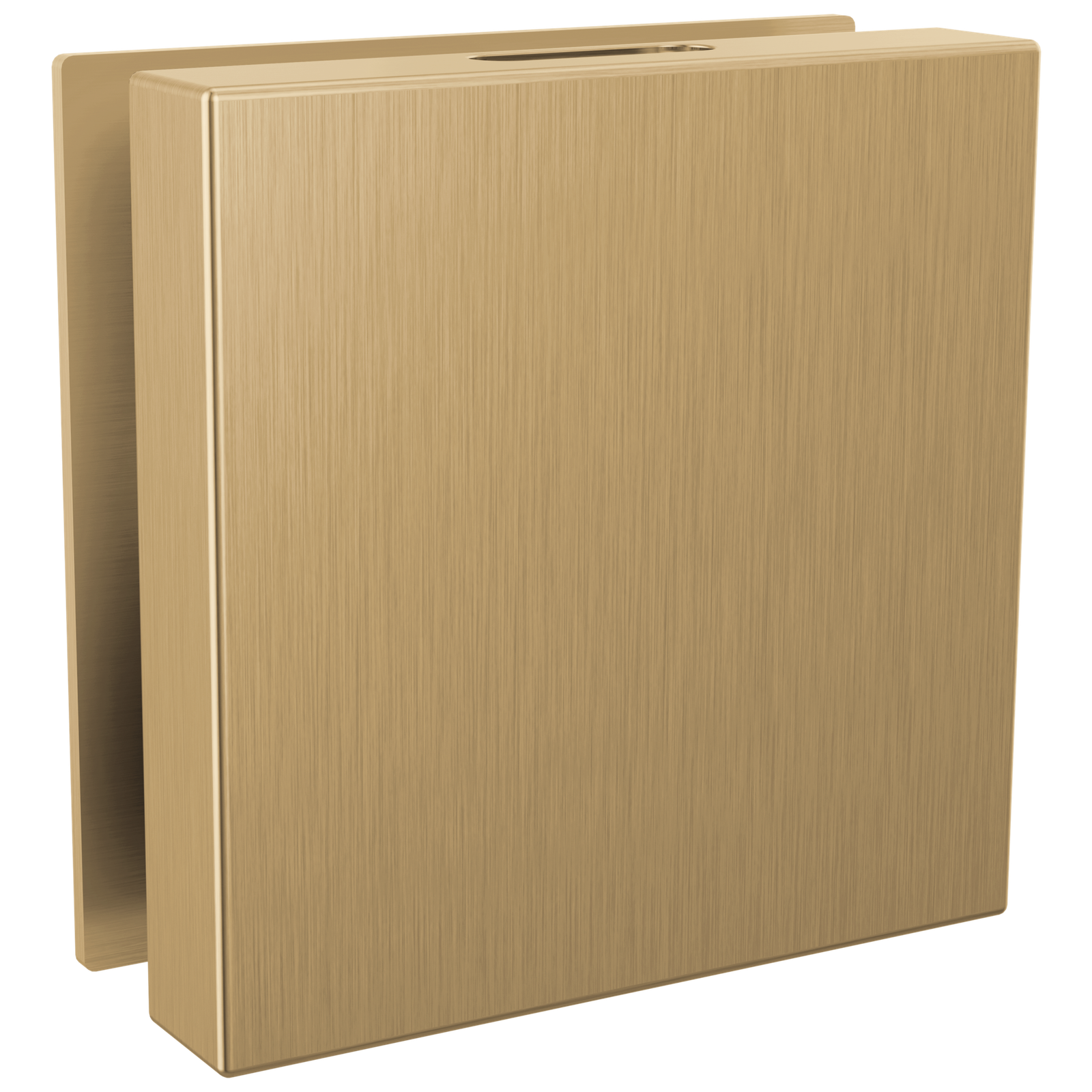 Delta SteamScape Deluxe Square Steam Head