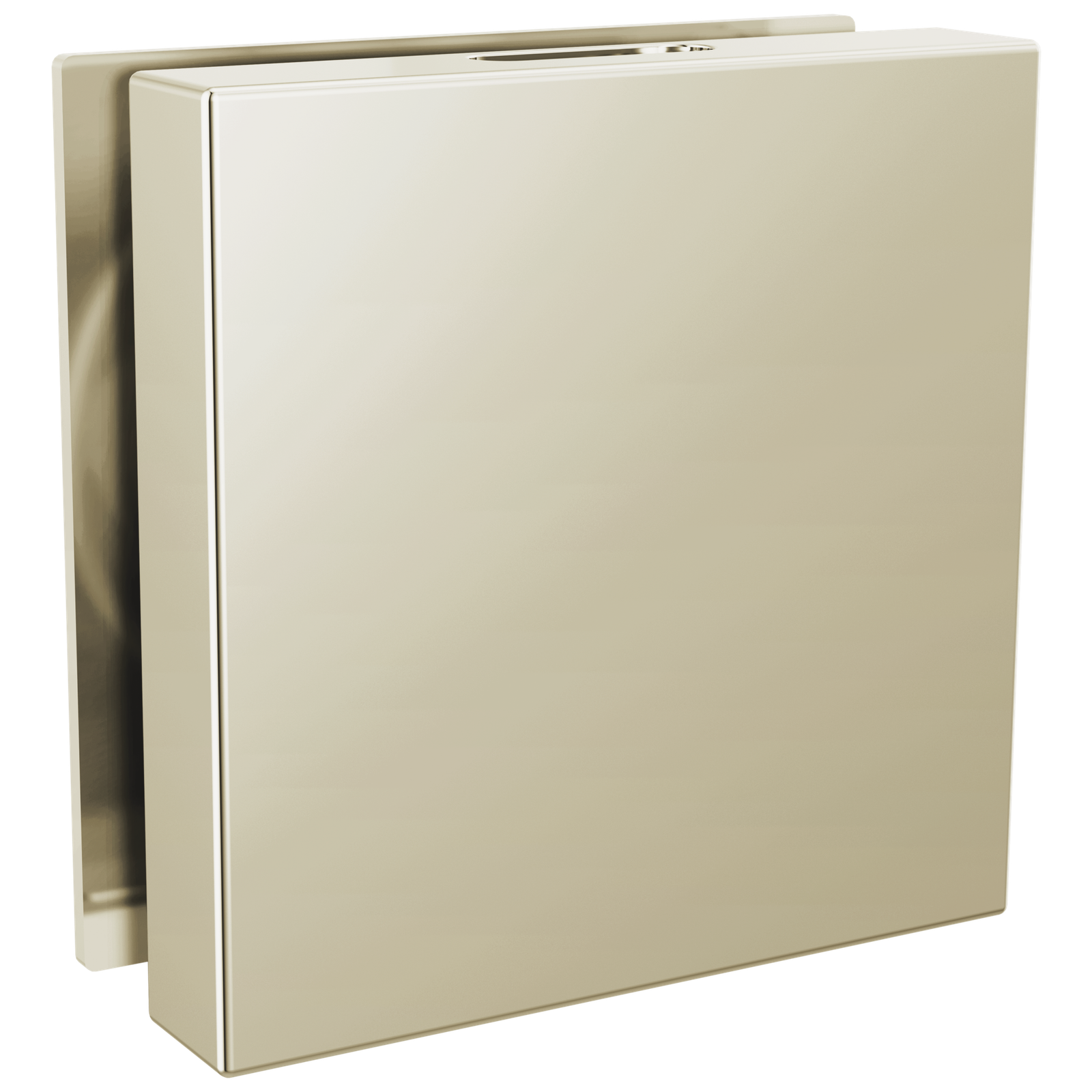 Delta SteamScape Deluxe Square Steam Head