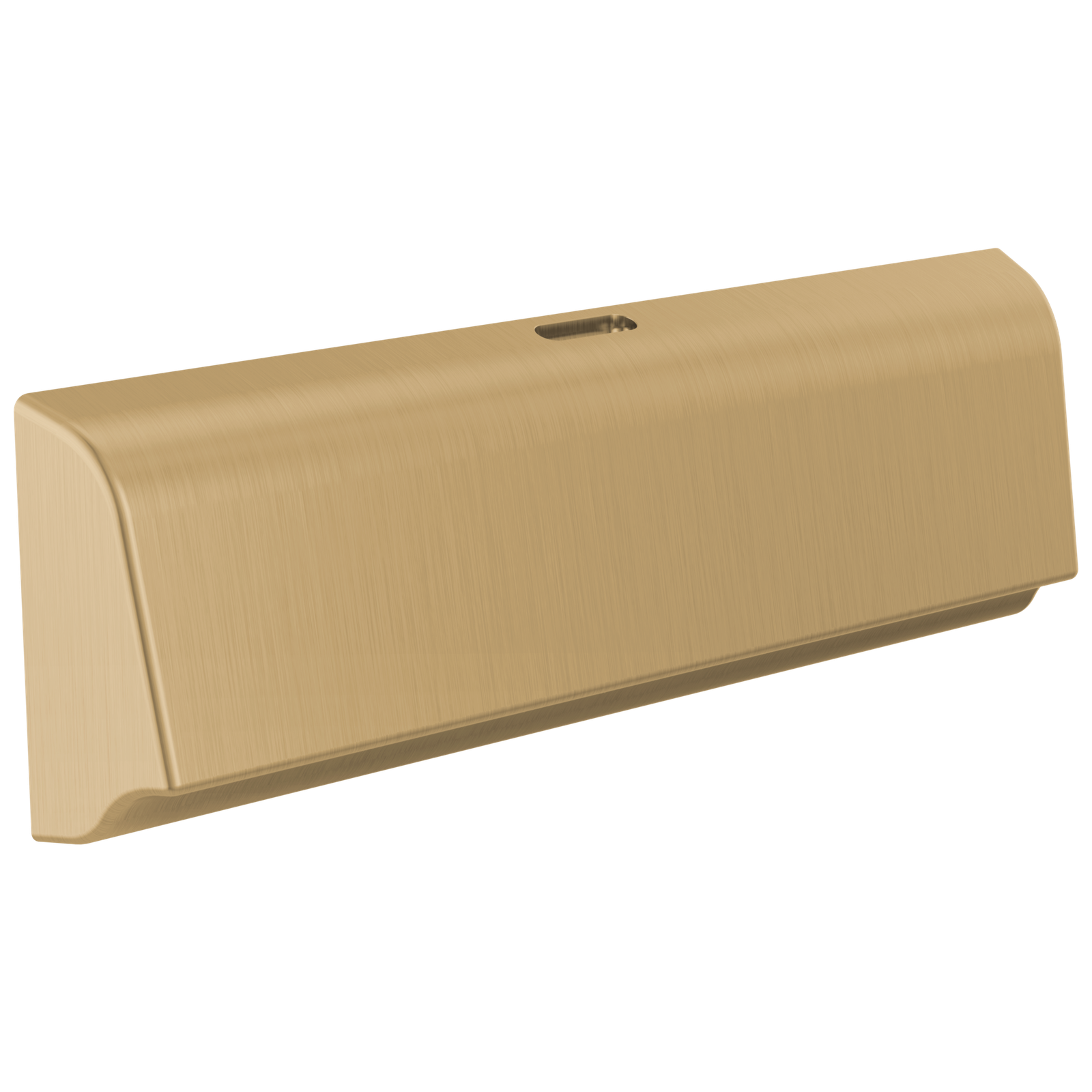 Delta SteamScape Deluxe Unilateral Steam Head