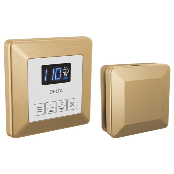 SteamScape™ Square Control and Square Steam Head