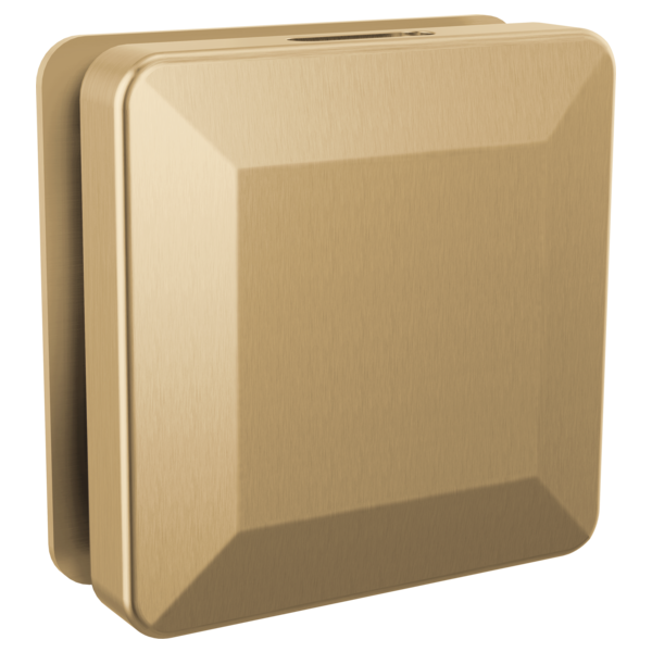 Delta SimpleSteam Square Steam Head