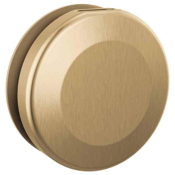 Delta SteamScape Classic Round Steam Head