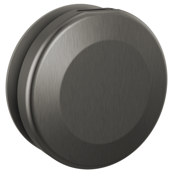 Delta SteamScape Classic Round Steam Head