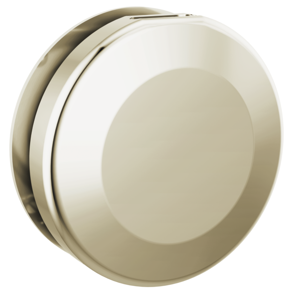 Delta SteamScape Classic Round Steam Head