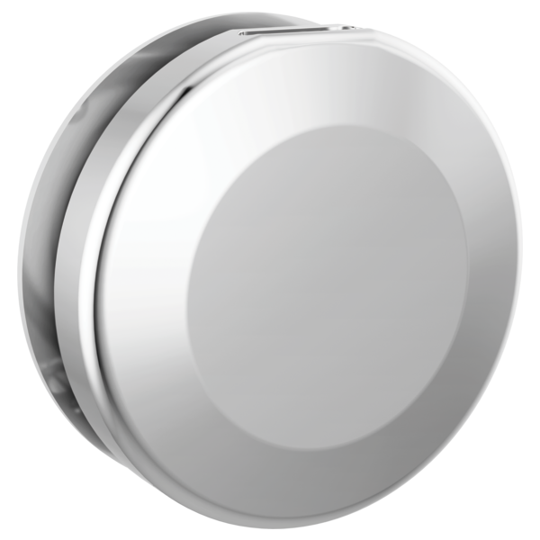 Delta SteamScape Classic Round Steam Head