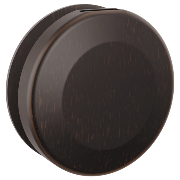 Delta SteamScape Classic Round Steam Head