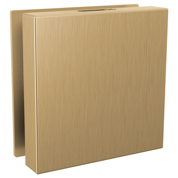 Delta SteamScape Deluxe Square Steam Head