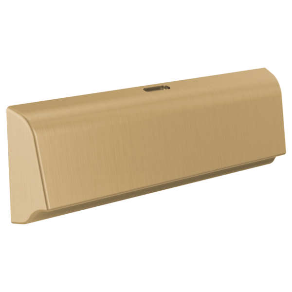 Delta SteamScape Deluxe Unilateral Steam Head