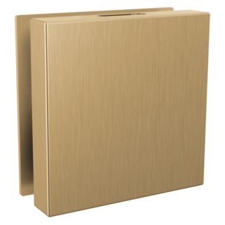 Delta SteamScape Deluxe Square Steam Head