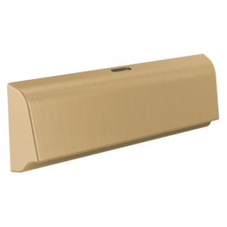 Delta SteamScape Deluxe Unilateral Steam Head