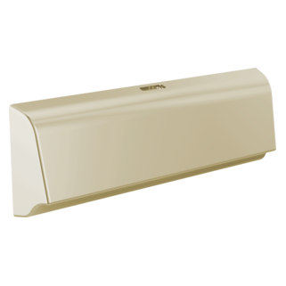 Delta SteamScape Deluxe Unilateral Steam Head