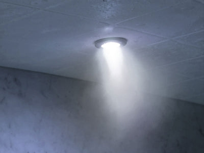 Bathology Spectrum 440D