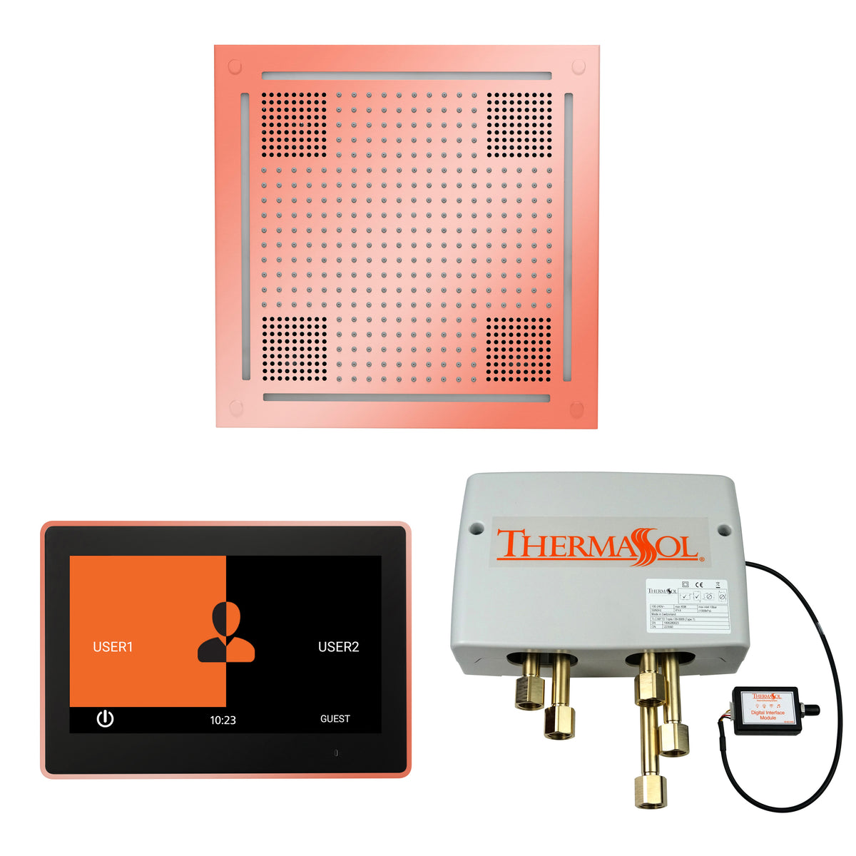 The Wellness Hydrovive Shower Package with 10&quot; ThermaTouch Square